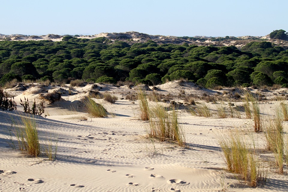 Benicàssim: A Haven for Adventure Seekers